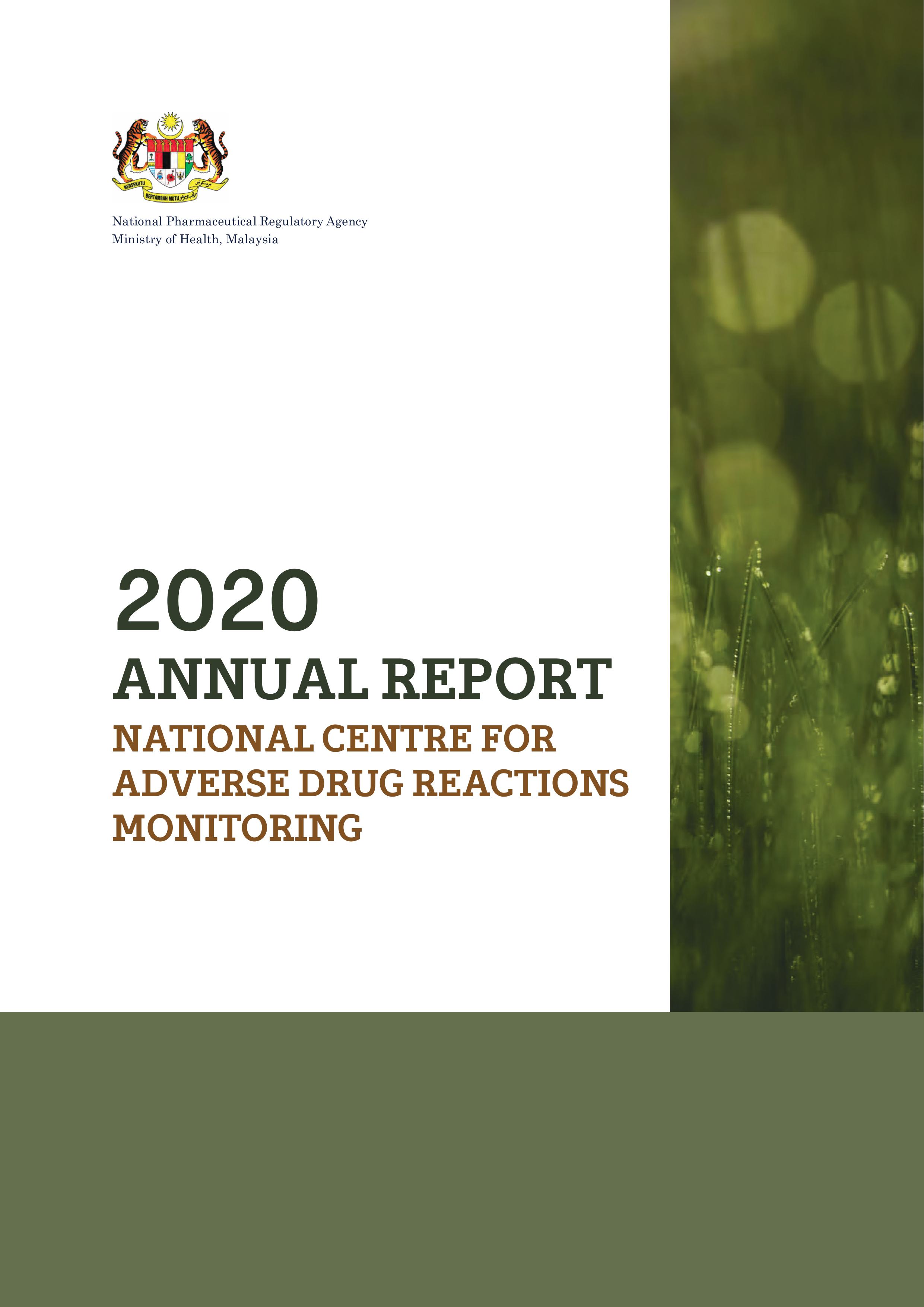 PV Annual Report 2020